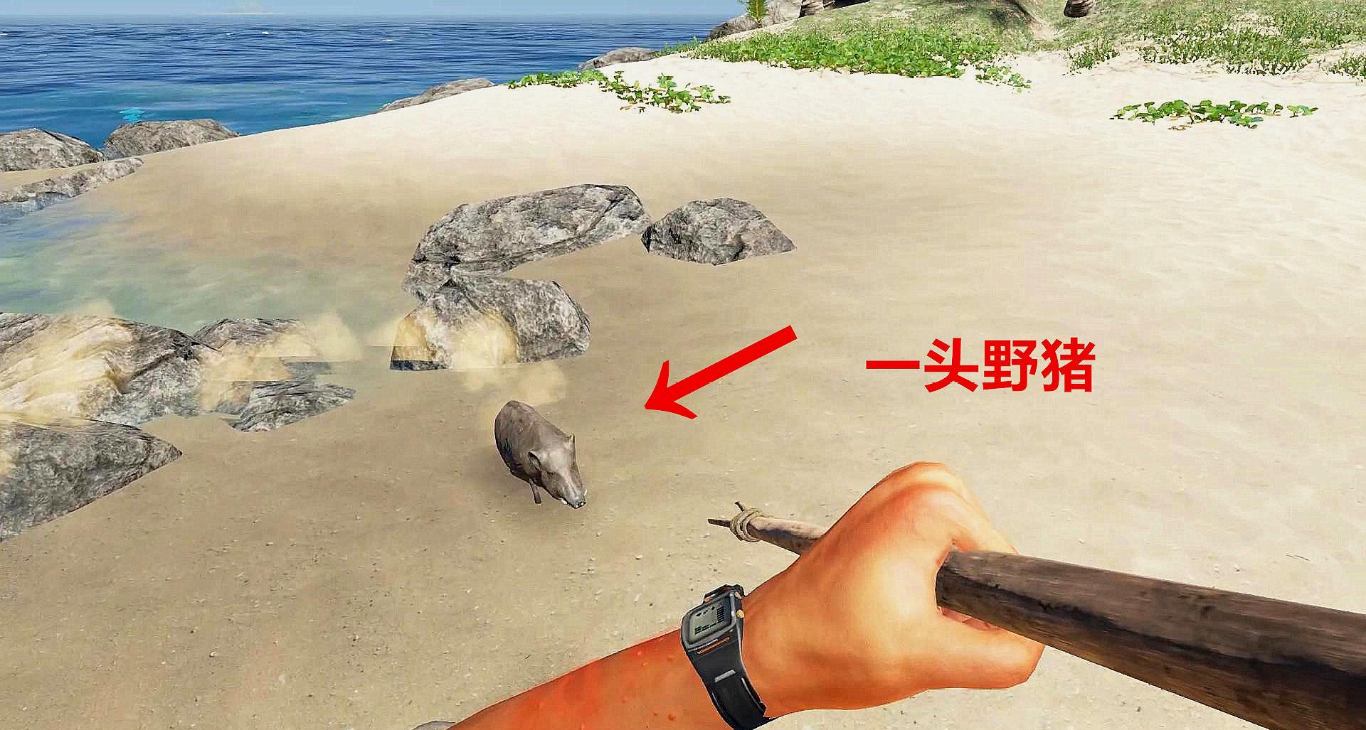 -v圈守墓人：百度百科评测对比