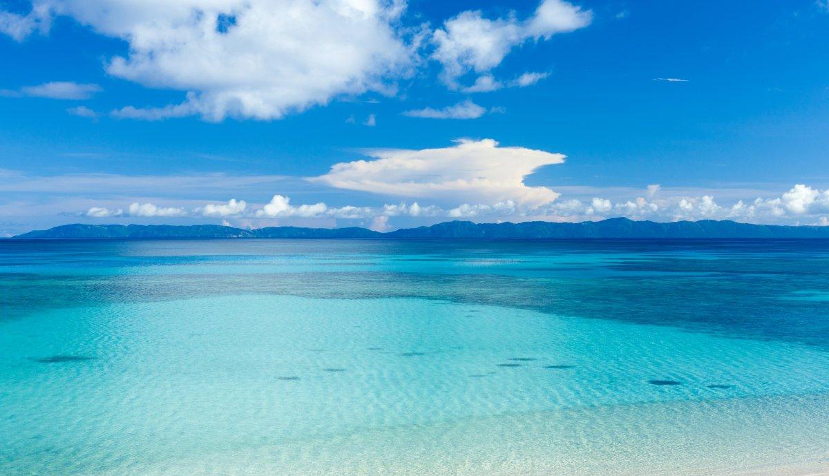 织梦岛，一个让你的壁纸焕发无限可能的地方