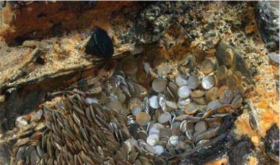 魔城之王2：震撼来袭！