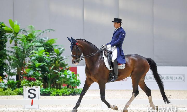 夏季2000里程比赛，赛马界巅峰之战！