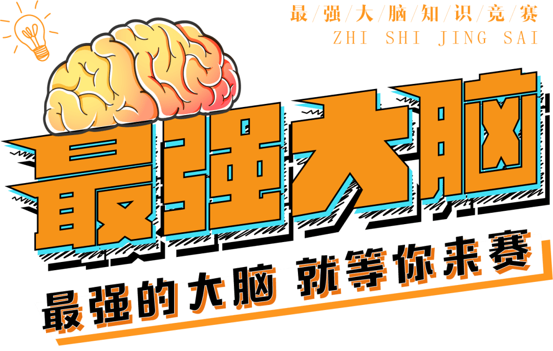 最强大脑歌手选手_最强大脑第二季水哥视频_最强大脑水哥个人资料