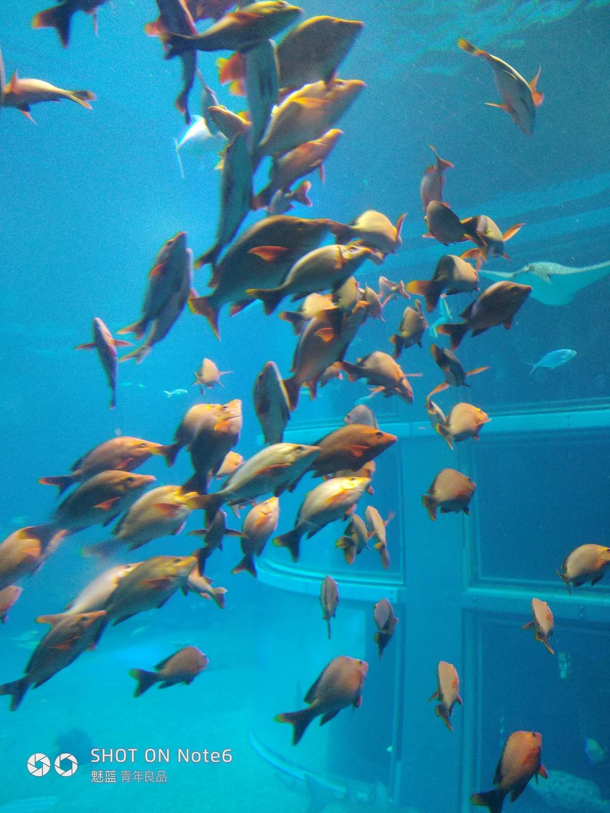 水族馆游戏大全_水族馆游戏_水族馆的游戏叫什么