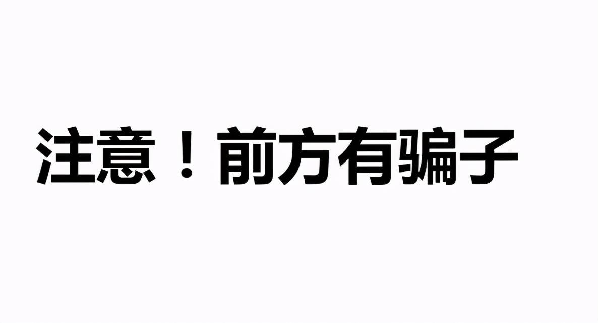 诈骗游戏_骗子的游戏_诈骗的游戏