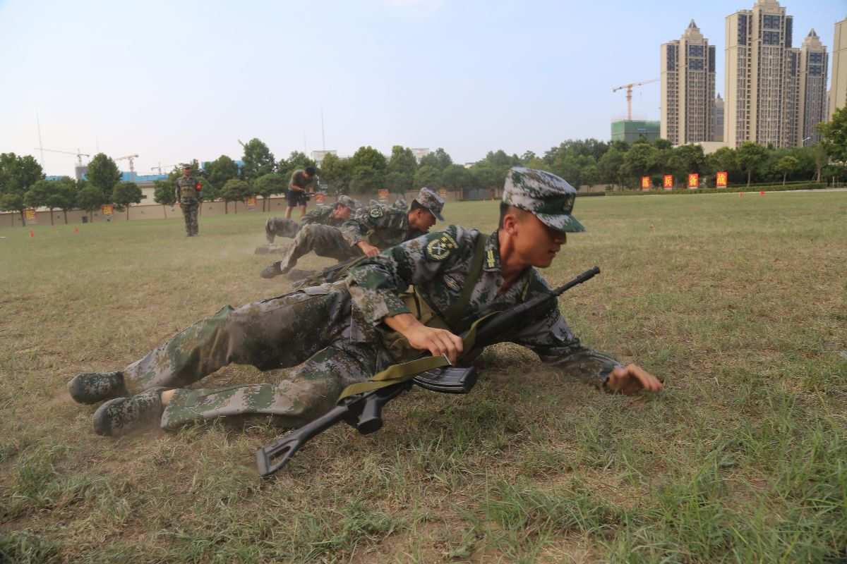 明日方舟资深干员搭配支援_明日方舟资深干员词条一览_明日方舟资深干员tag搭配