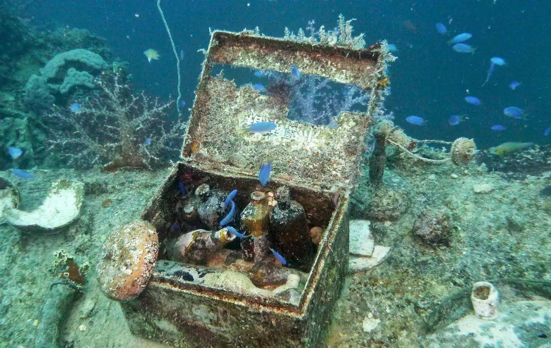 森美海底历险_森美海底历险记粤语_森美海底历险记