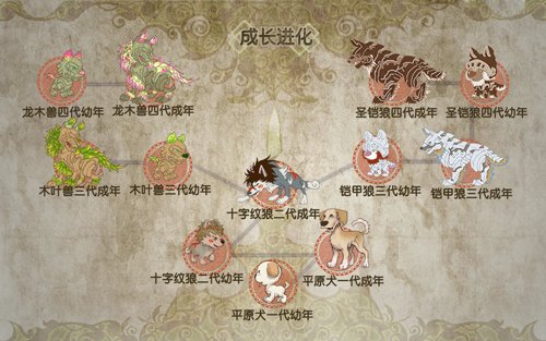 造梦西游3宠物怎么进化_造梦西游超进化宠物_西游进化宠物造梦攻略