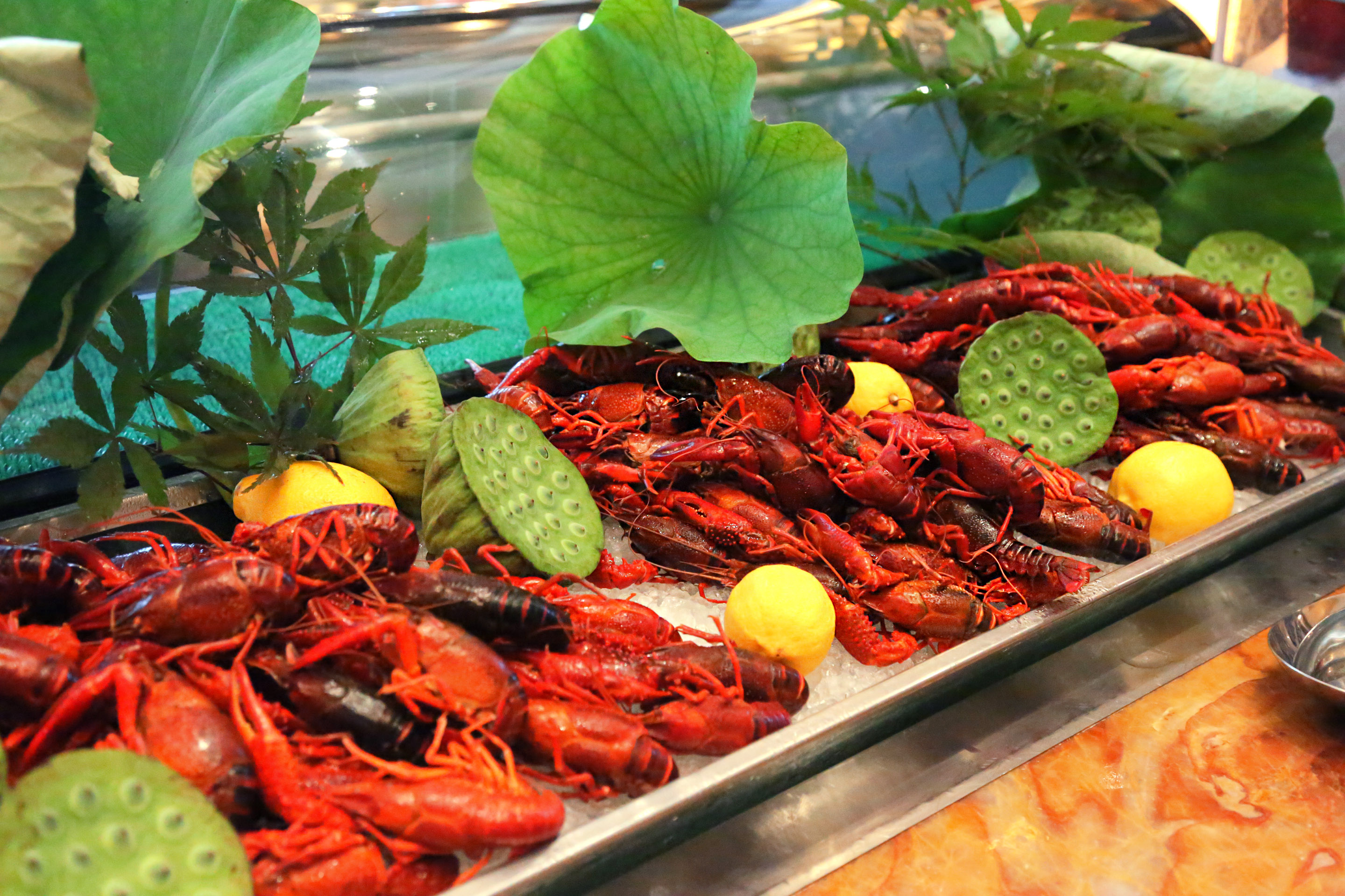 手机餐厅经营游戏_手机类经营游戏_餐厅游戏经营类中文版