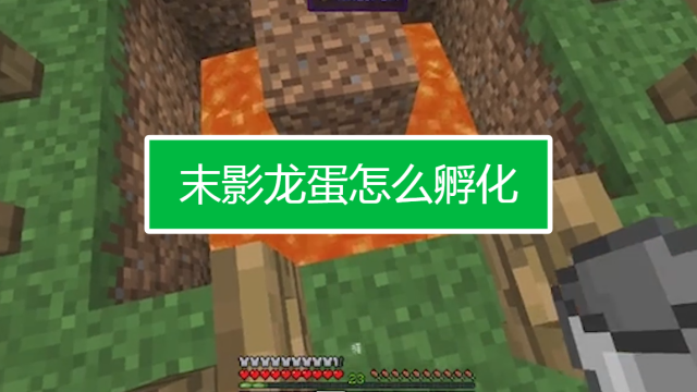 我的世界龙蛋怎么孵化_末影龙蛋孵化_海贼王屠魔令18龙蛋怎么孵化