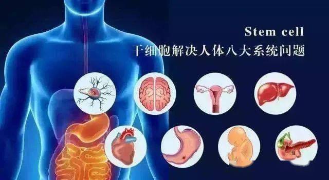 明日方舟资深干员tag搭配
