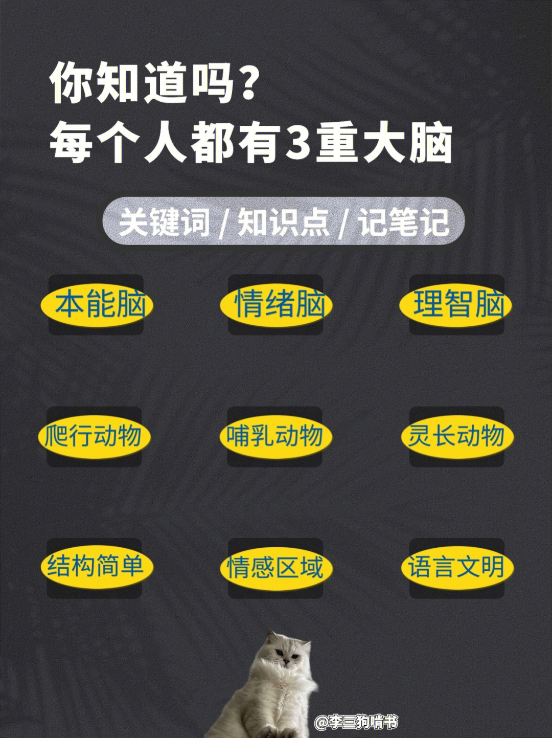 最强大脑第一季水哥_最强大脑第二季水哥视频_最强大脑水哥个人资料