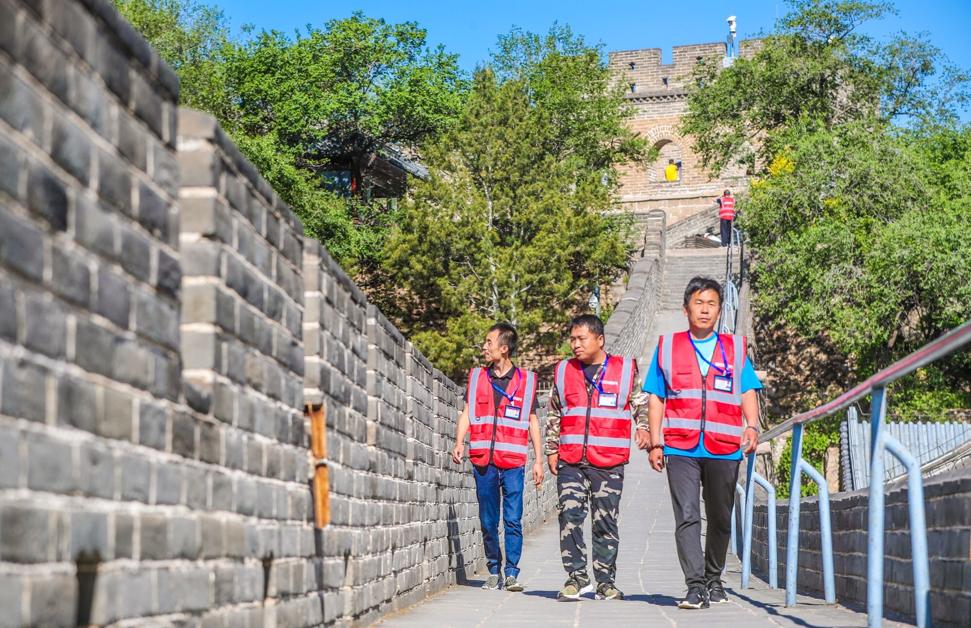明日方舟资深干员tag搭配