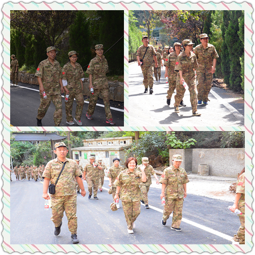 明日方舟资深干员tag搭配