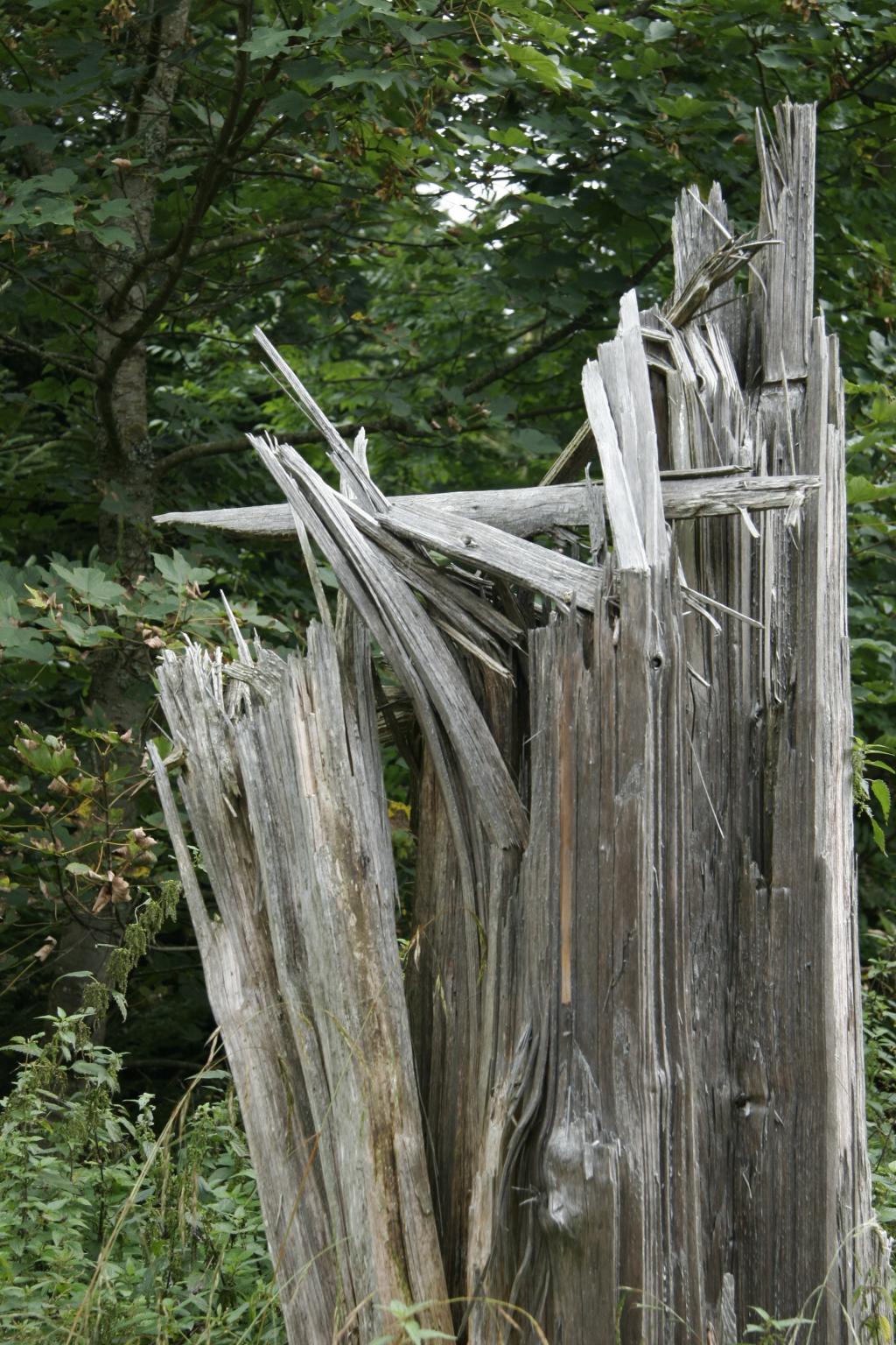 马桶解说我的世界空岛_我的世界视频马桶解说空岛_我的世界马桶解说二次元空岛