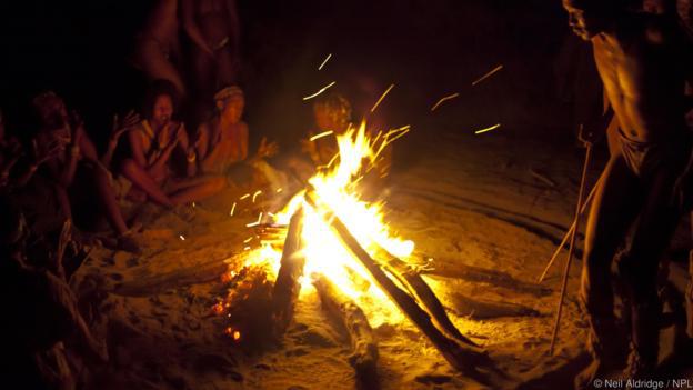 单人森林冰火人_单人森林冰火人小游戏_单机森林冰火人游戏