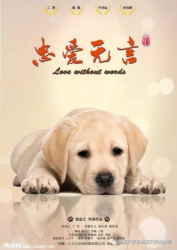 qq宠物名字可爱洋气女_游戏宠物名字可爱洋气_游戏宠物名字大全可爱