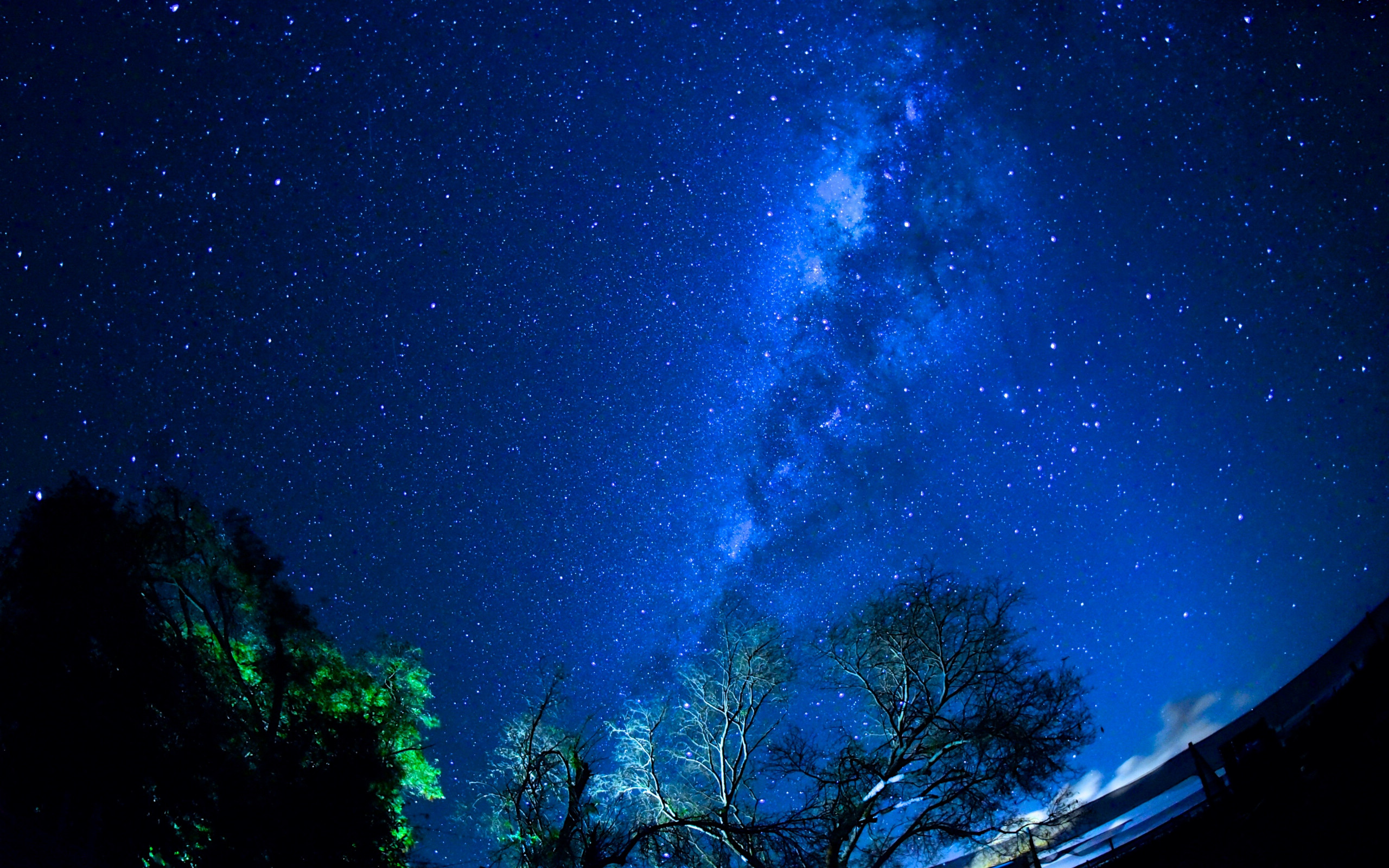 魔法壁纸官网_魔法壁纸app_魔法使之夜壁纸