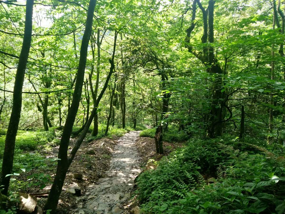 梦境图片唯美壁纸_梦境里的世界图片_梦境图片高清