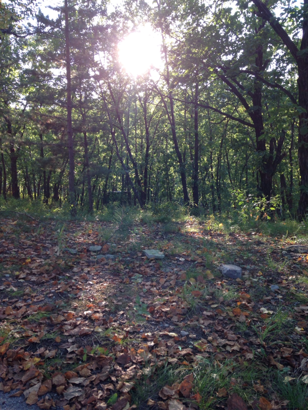 梦境图片高清_梦境图片唯美壁纸_梦境里的世界图片