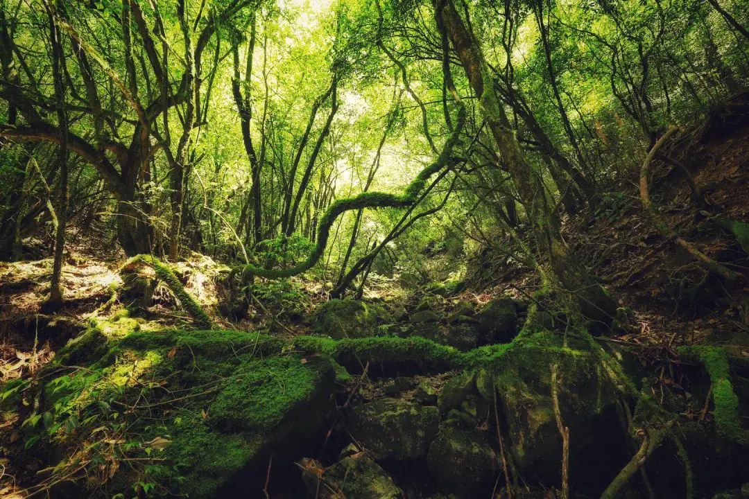 梦境图片唯美壁纸_梦境图片高清_梦境里的世界图片