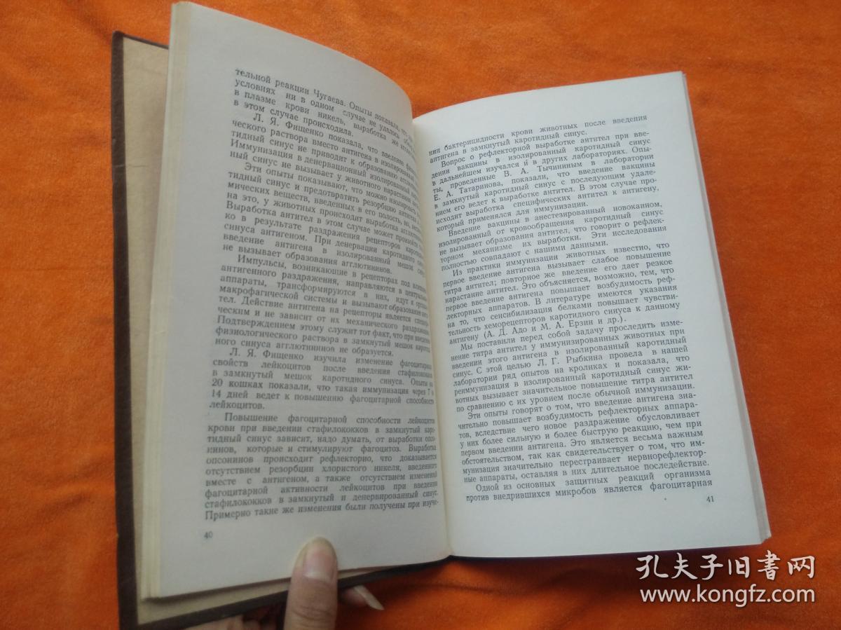 射丝袜文学_射文学区_天天射文学