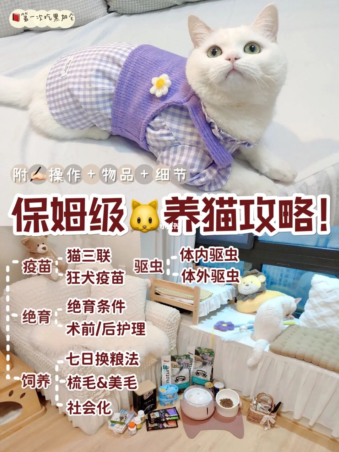 黄晓明官网社区wangzhi_猫咪社区官网_猫咪有约官网