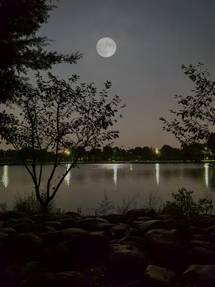 闲月_尘中见月心亦闲_从今若许闲乘月拄杖无时夜叩门