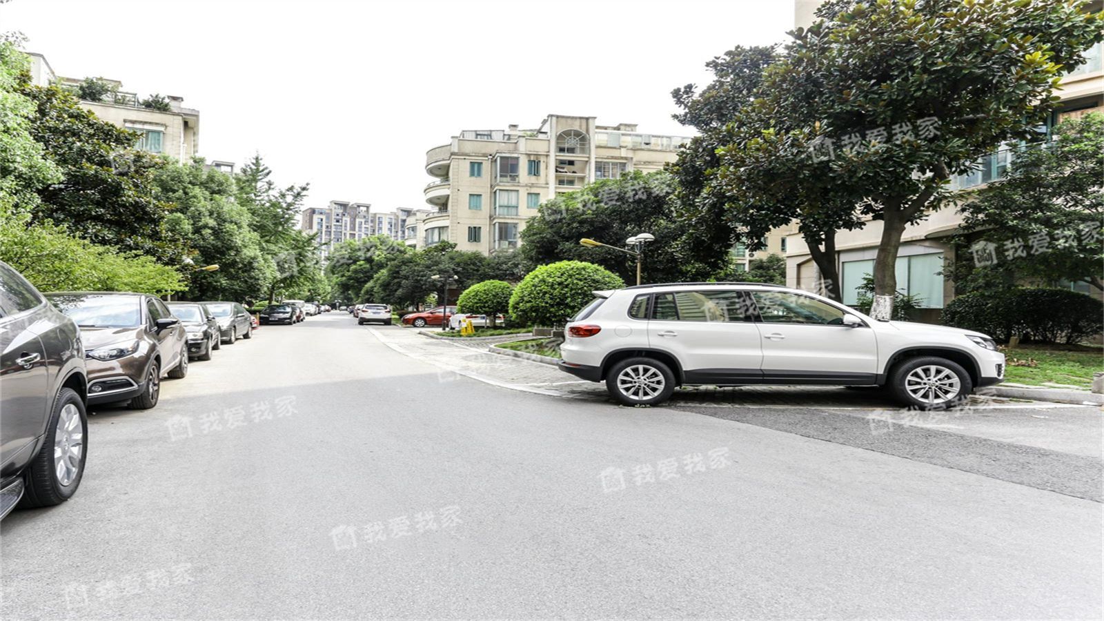 格林花园_格林花园的少女_格林花园小区