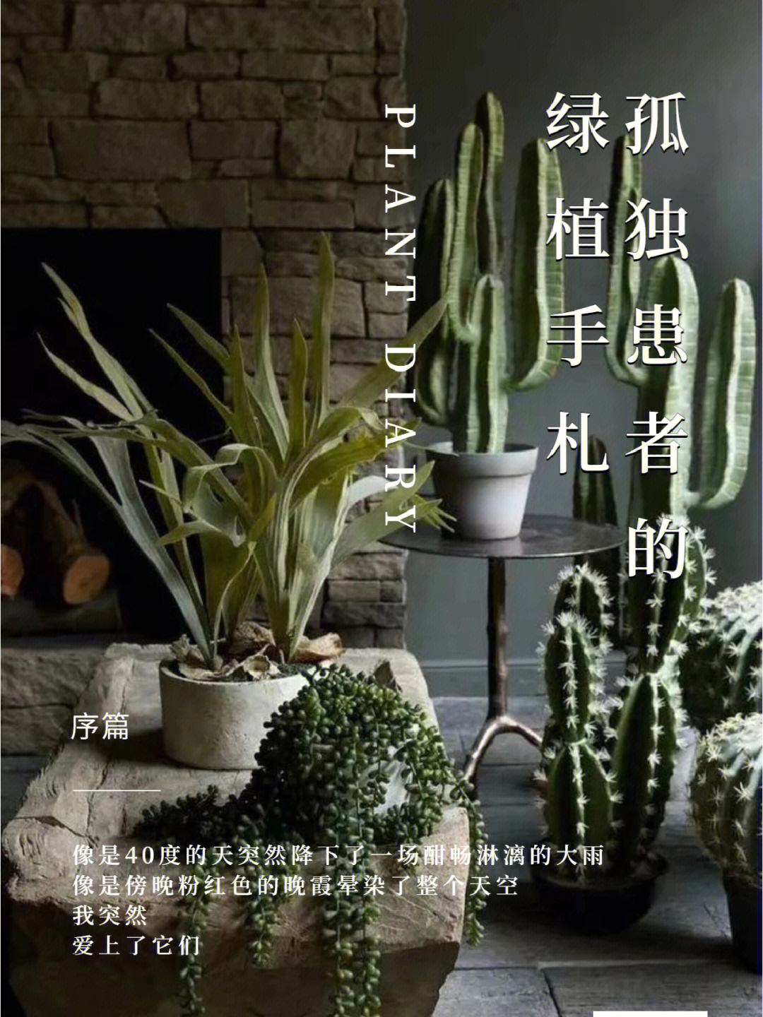 独居石_独居石矿多少钱一吨_独居石是什么矿