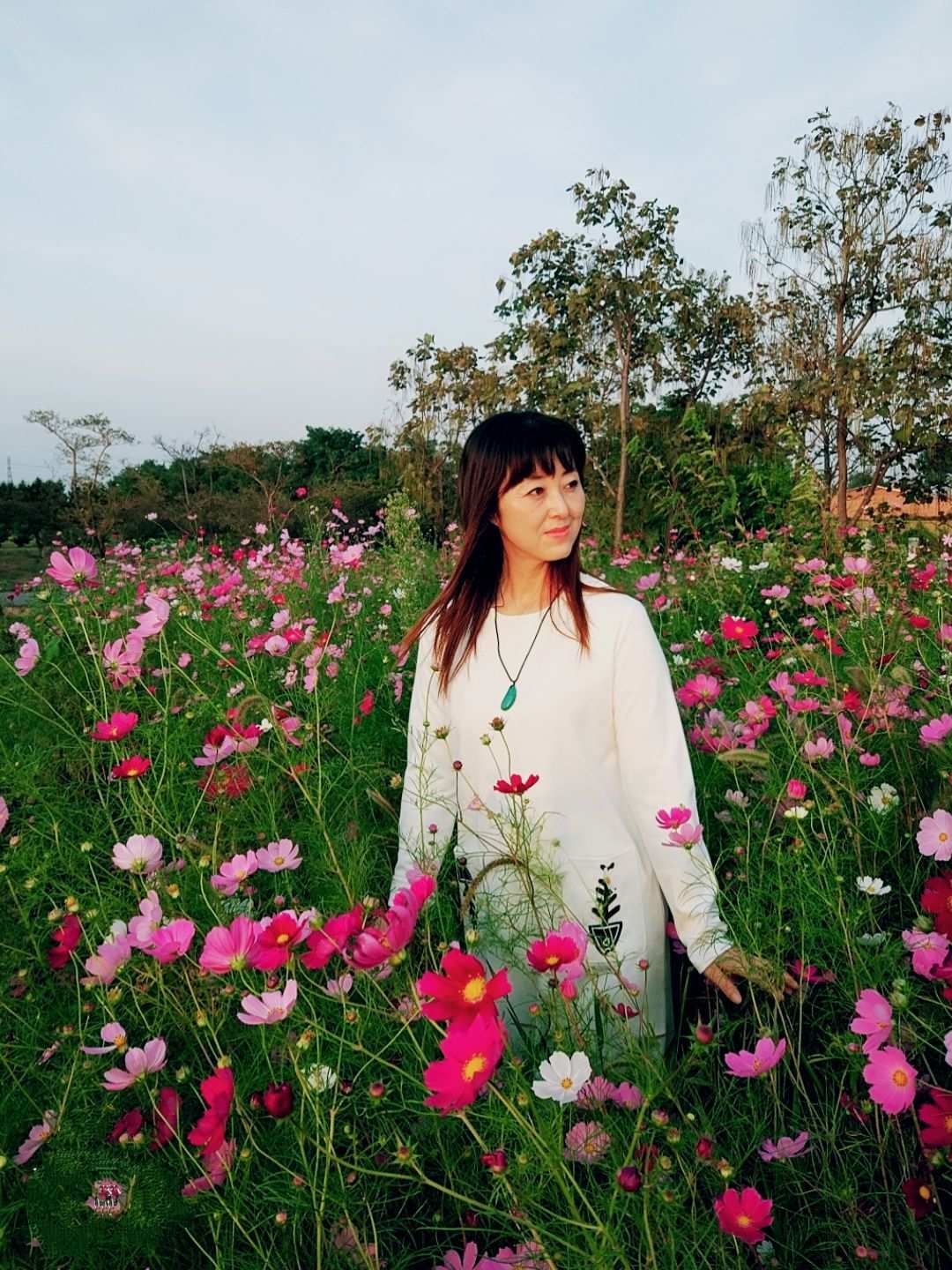落花网正版APP_落花网最新ip地址_落花网app