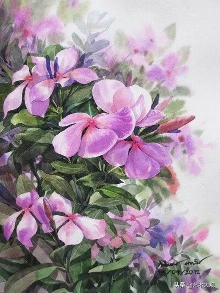 大色堂色就操_色花堂app_堂色花的功能与作用