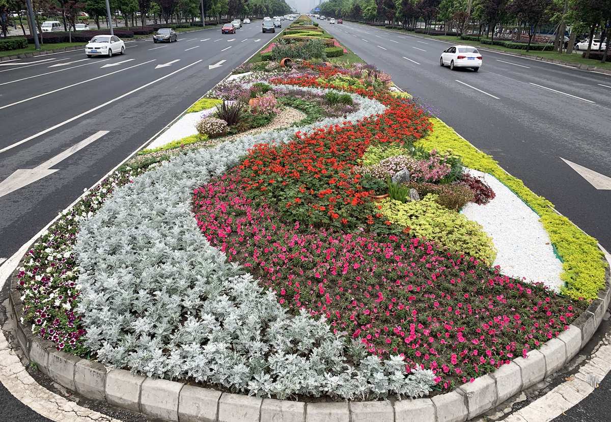 色花堂app_堂色花的功能与作用_大色堂色就操