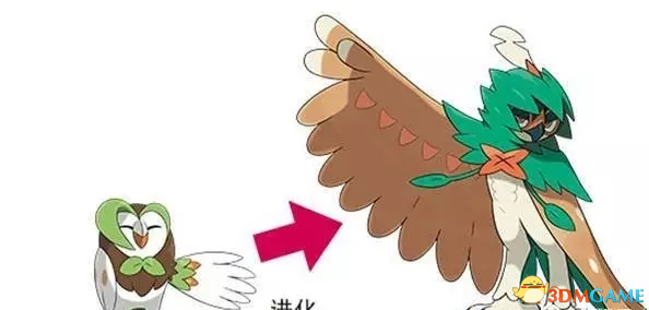 木木枭三段进化_木木枭进化_宝可梦木木枭进化
