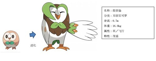 宝可梦木木枭进化_木木枭进化_木木枭三段进化