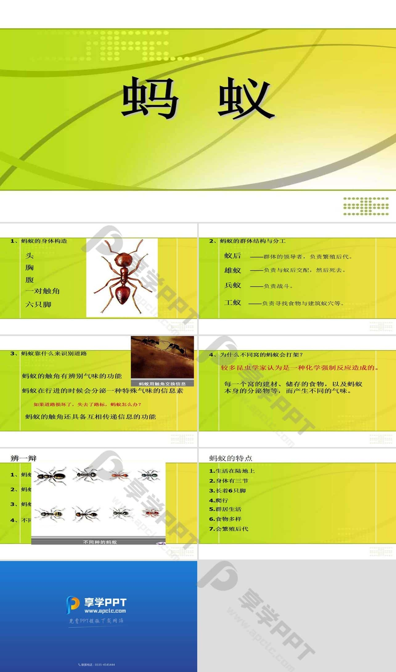 蚂蚁bms怎么连接电池_蚂蚁bms_蚂蚁bms老版本下载