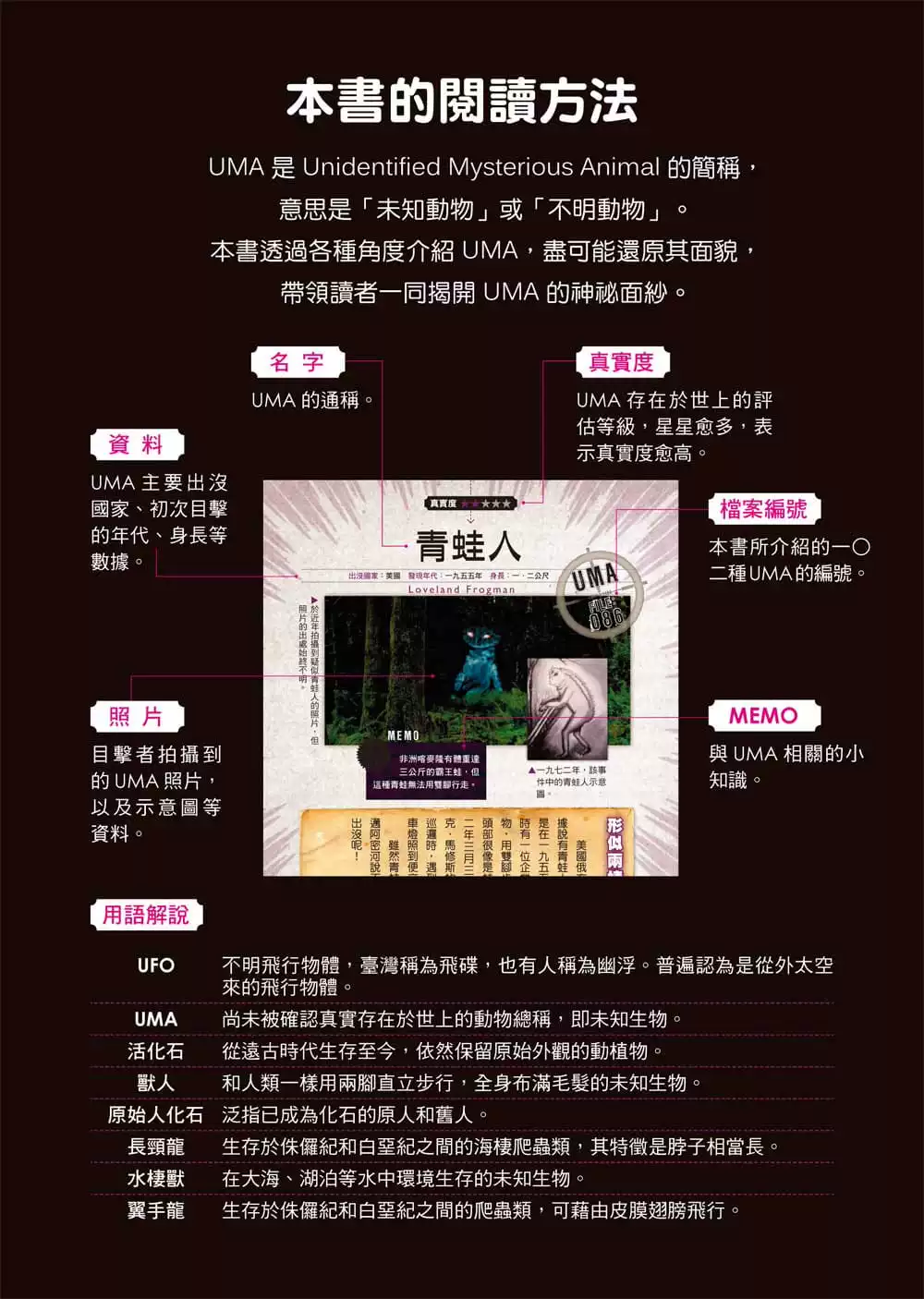 黑皮书啥意思_编辑的黑皮书_黑皮书下载