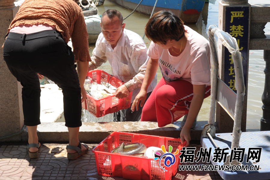 黄鲷鱼的功效与作用_黄鲷鱼图片_黄鲷鱼长什么样