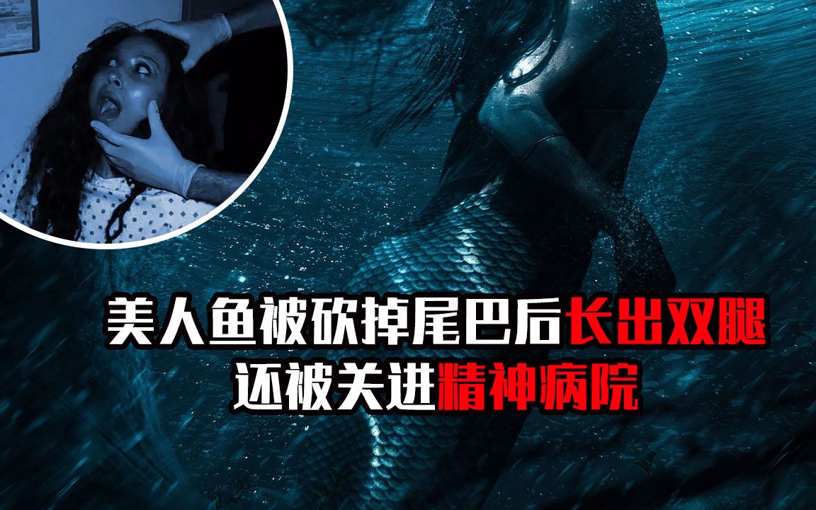 恐怖食人鱼6_恐怖食人鱼二_《恐怖食人鱼》