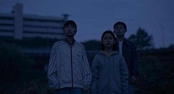 蜂鸟影院在线手机观看_蜂鸟手机免费观看_蜂鸟电影免费