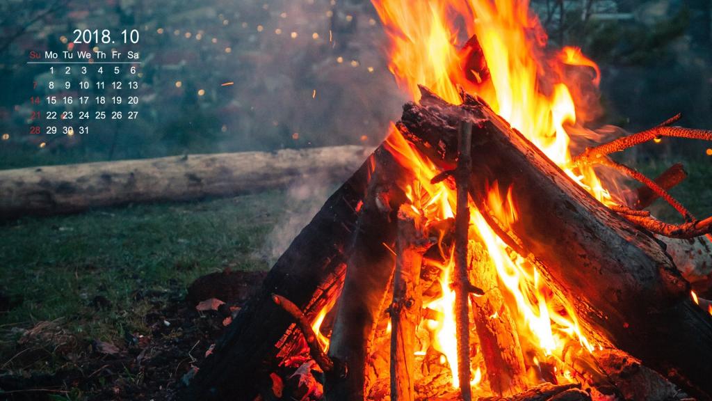 炎王龙怎么打_炎王龙_炎王龙可以捕获吗