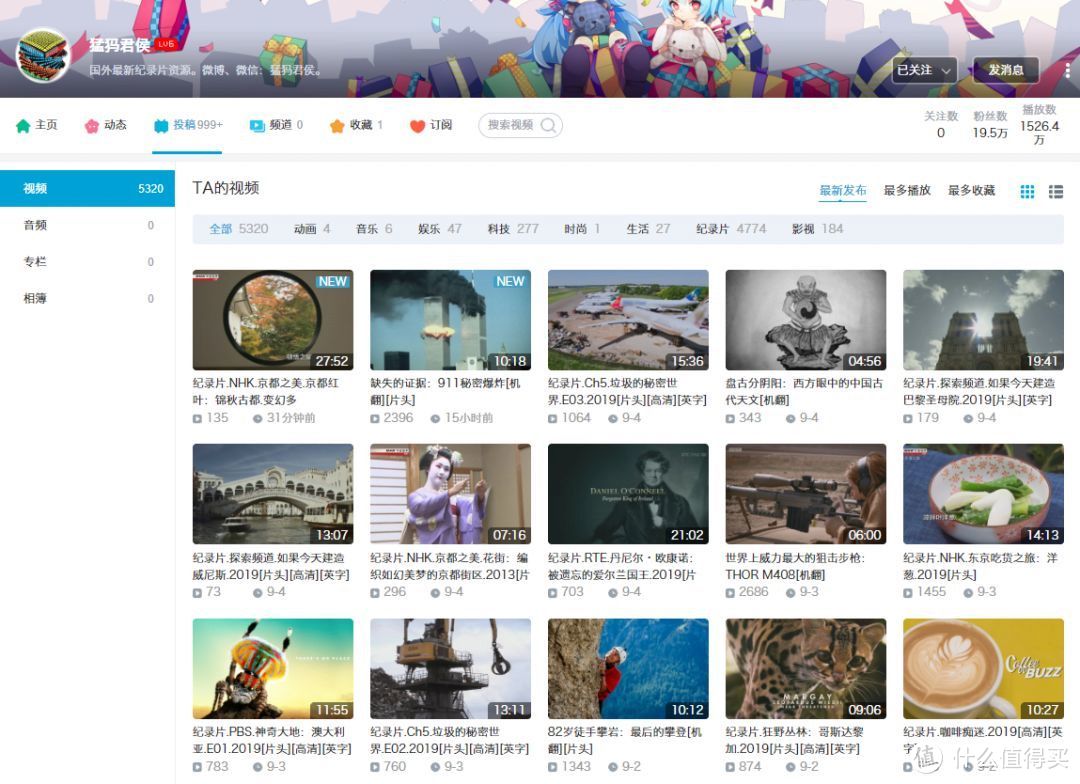 豆奶视频，畅享无限精彩