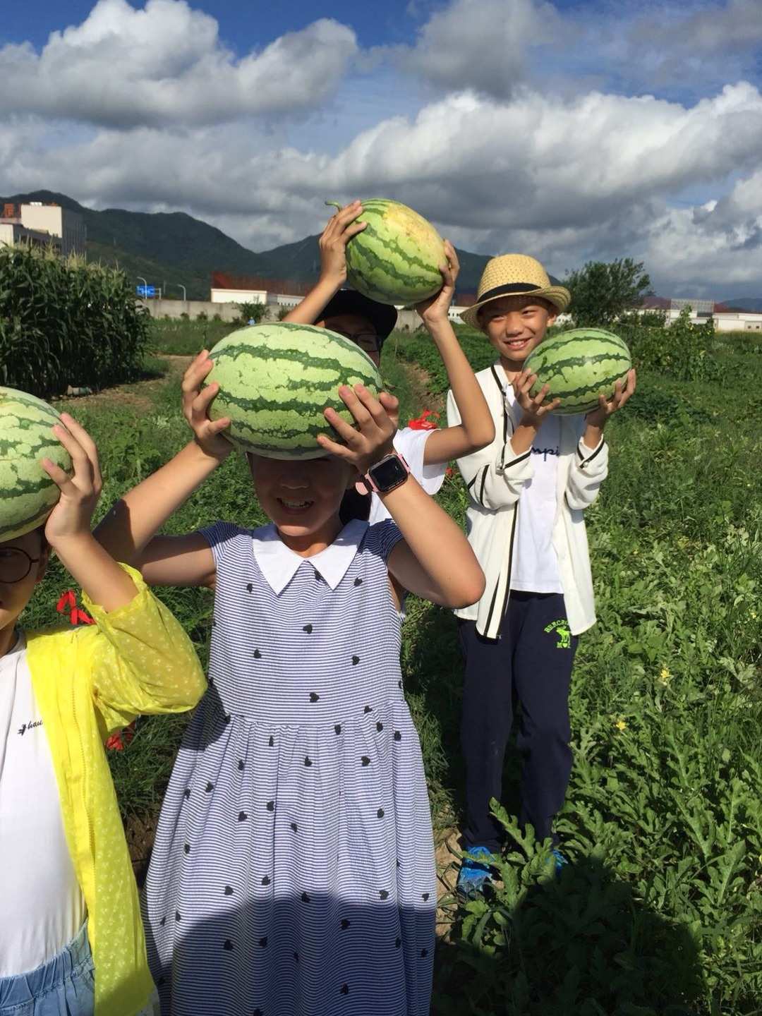 西瓜村完美攻略_西瓜村_西瓜村第二关完美攻略