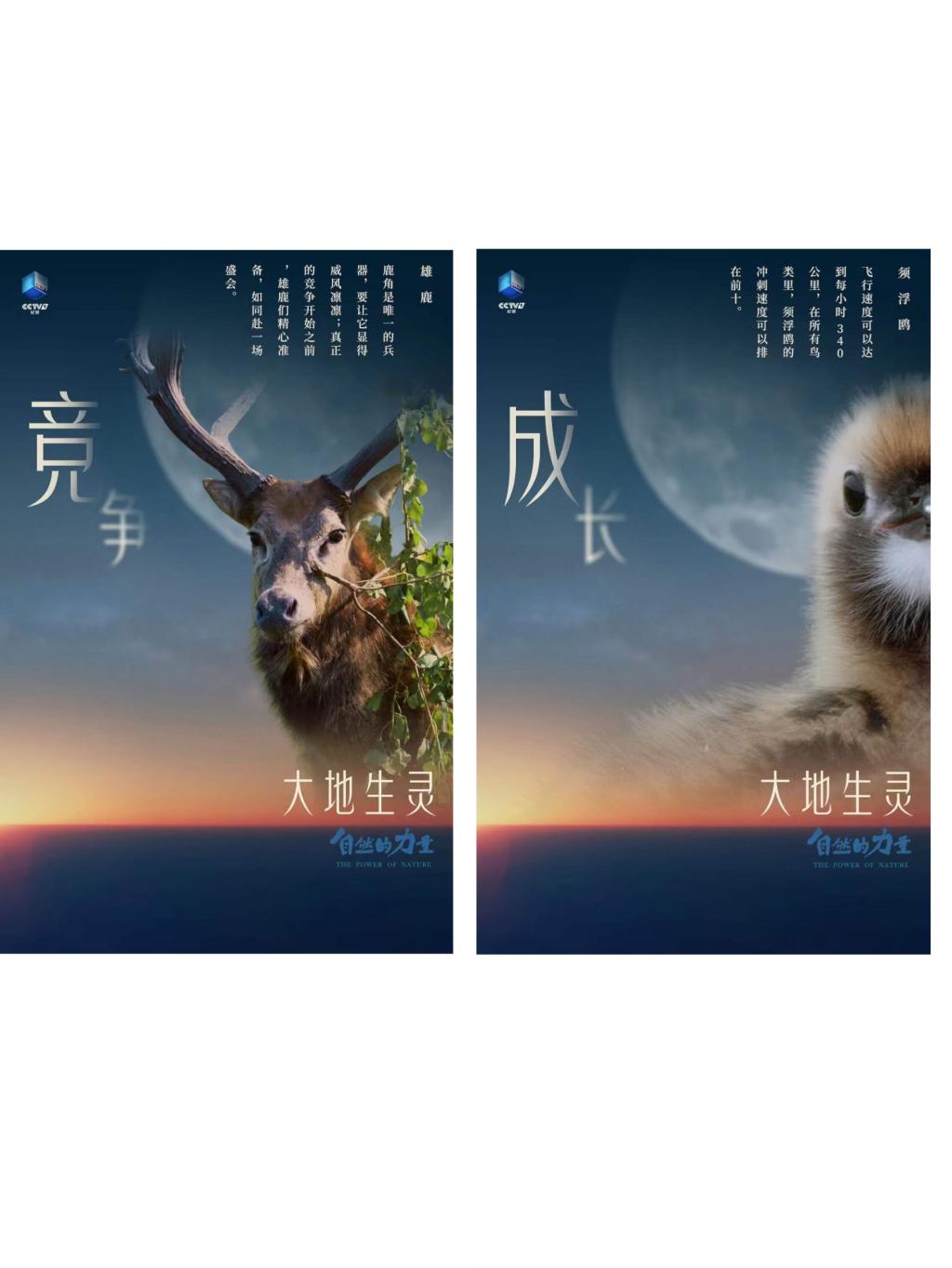 力神比多兽_力神比多兽_力神比多兽