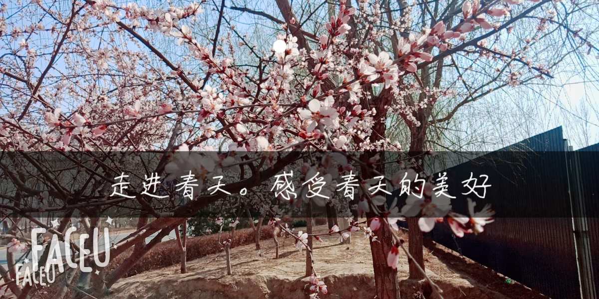 四季副本攻略大全最新_四季副本攻略大全6大护法位置_四季副本攻略大全