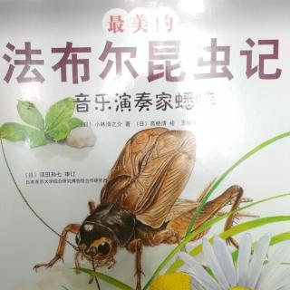 音箱蟀侠是什么意思_音箱蟀进化_音箱蟀