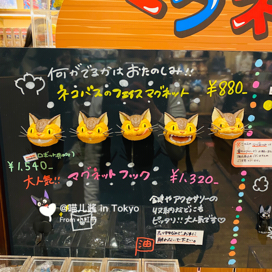 猫游记_猫游记小说_猫游记贴吧