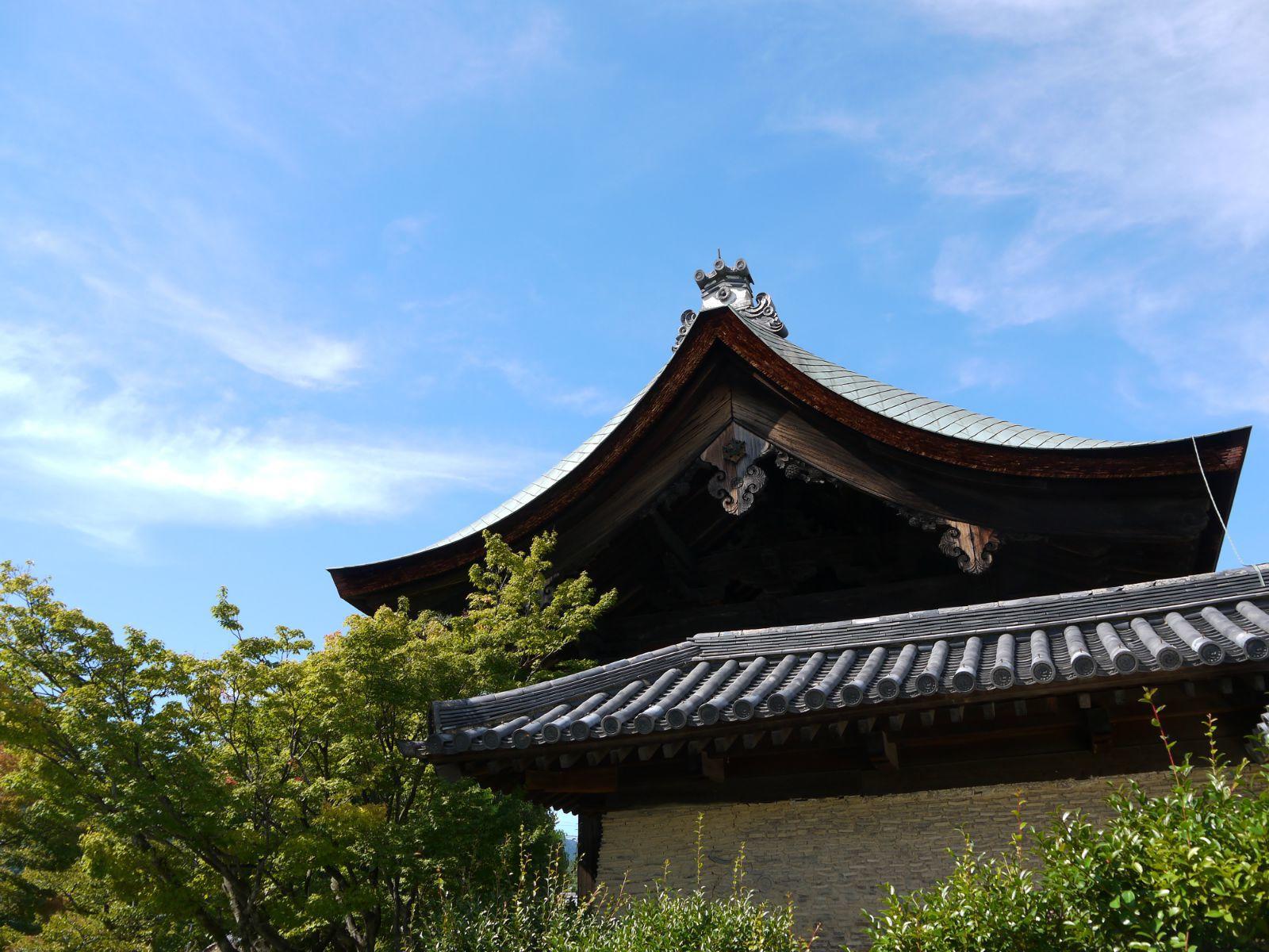 天龙寺_天龙寺简介_天龙寺在哪里