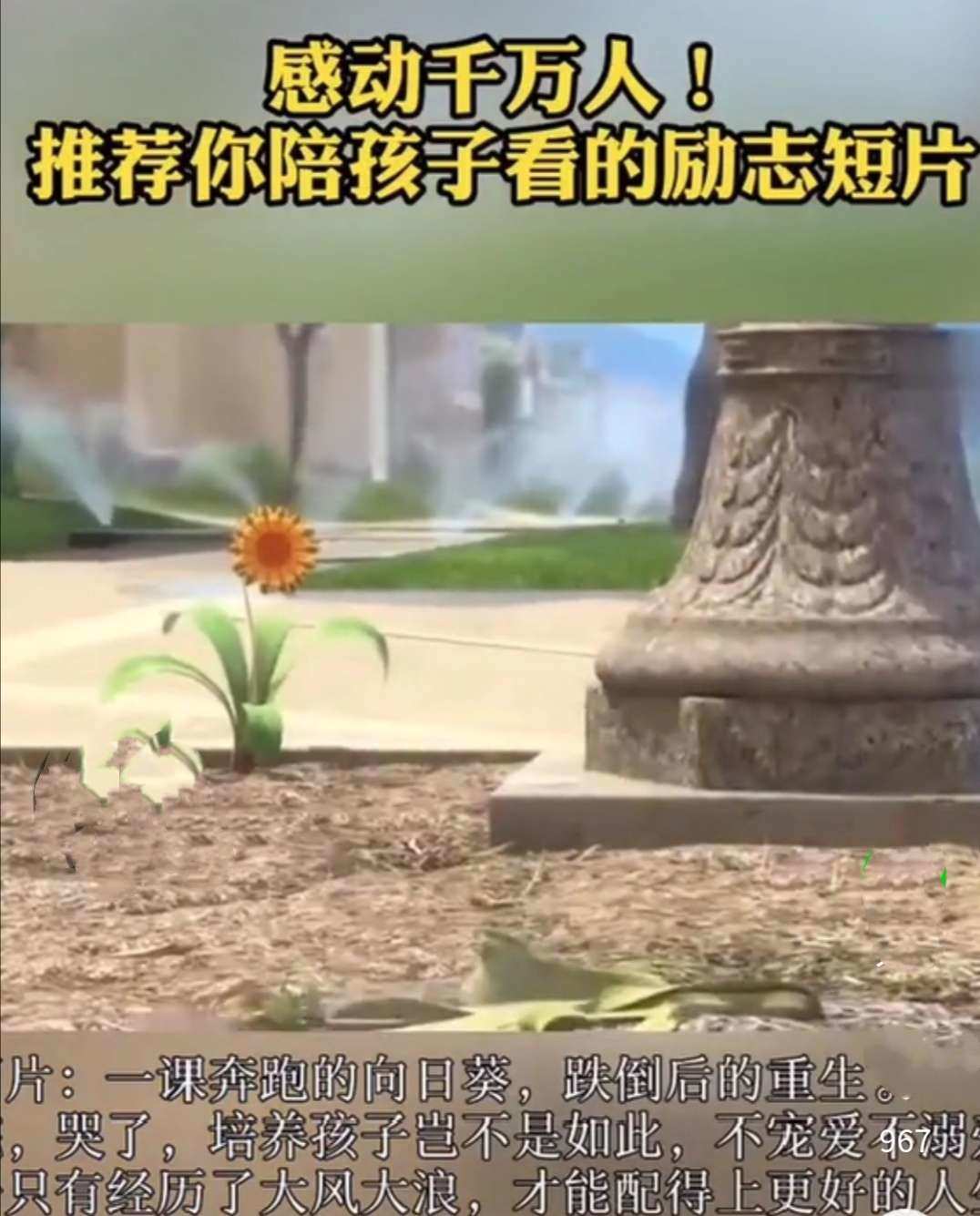 我被干_我被干_我被干