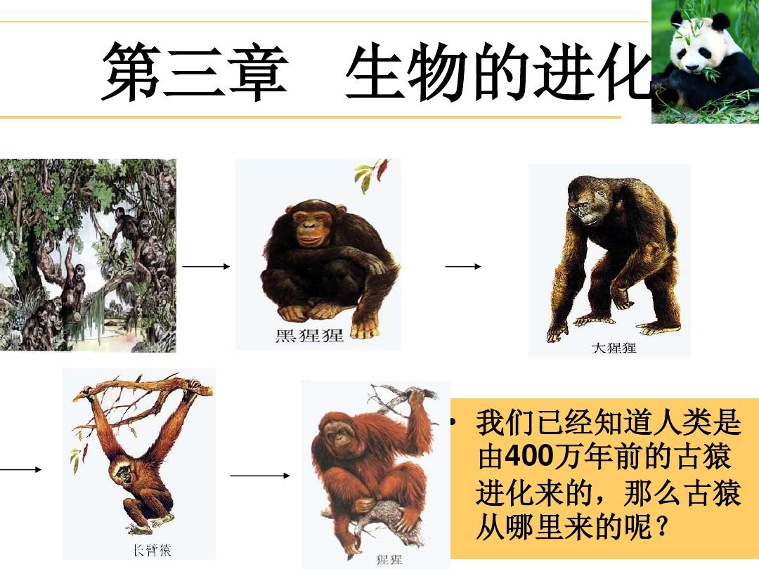 动物是哪种_正确答案是什么动物_哪个是动物