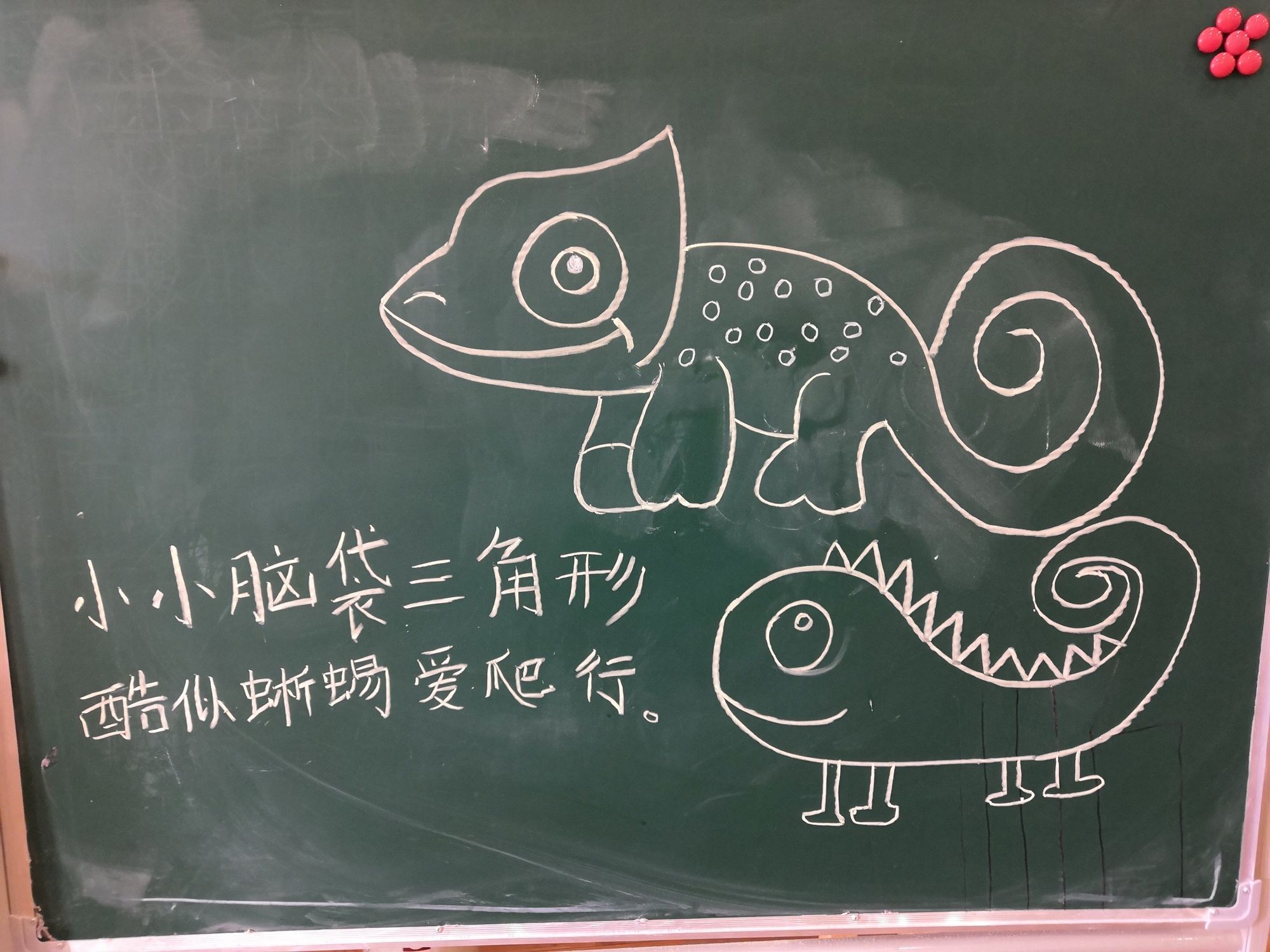 宝宝巴士变色龙游戏_变色龙游戏_变色龙游戏规则