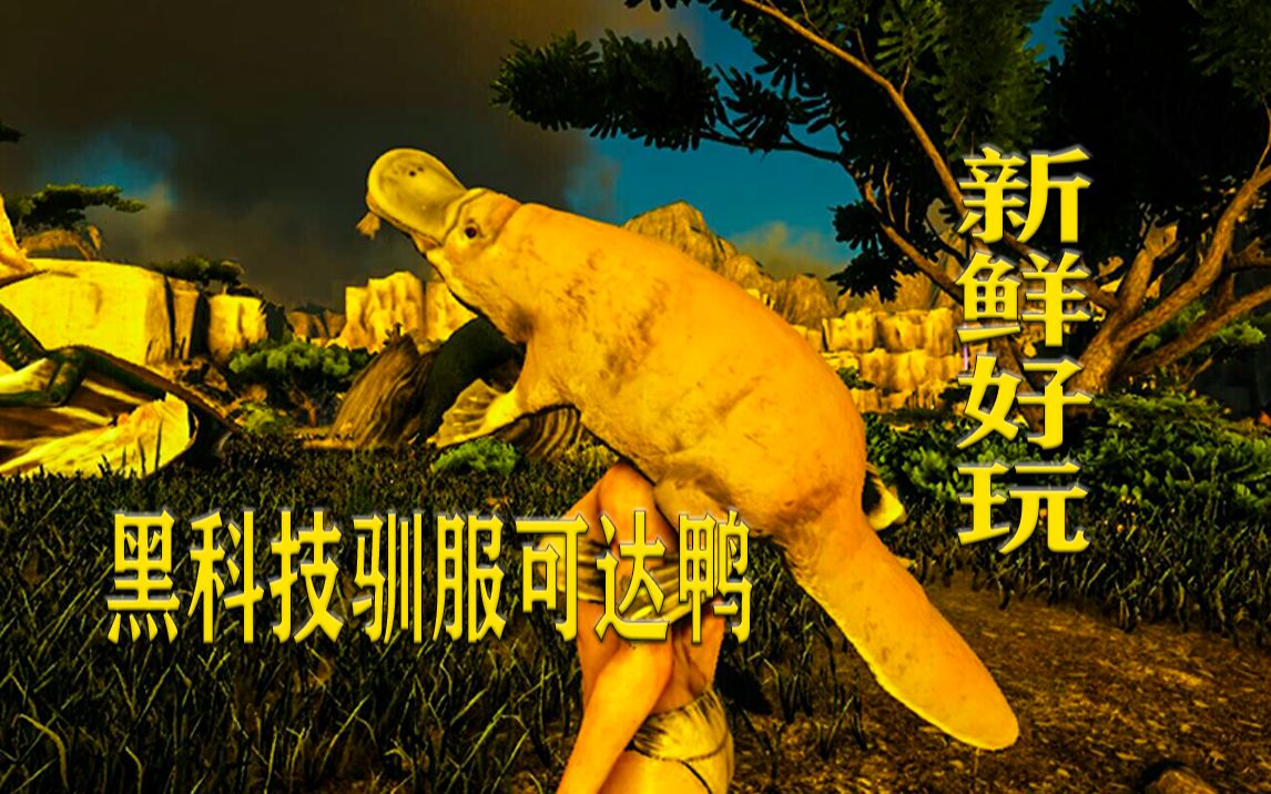 可达鸭进化_可达鸭进化_可达鸭进化